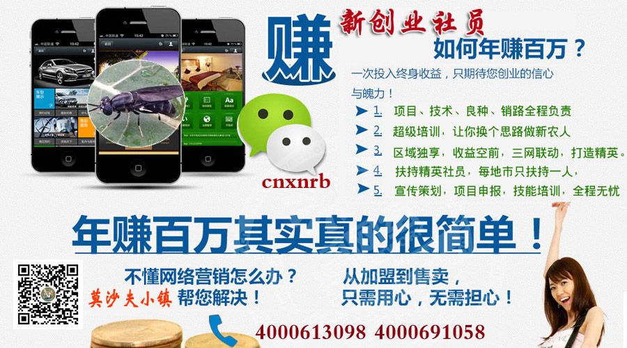 莫沙夫小镇创业社员宣.jpg