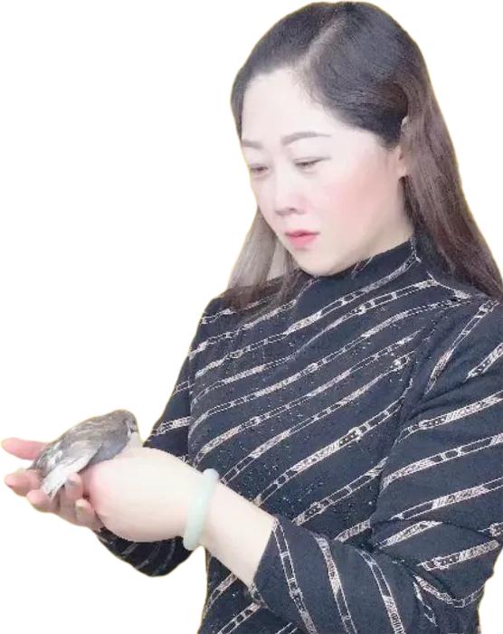 江苏东海王海红与温泉芦丁蛋