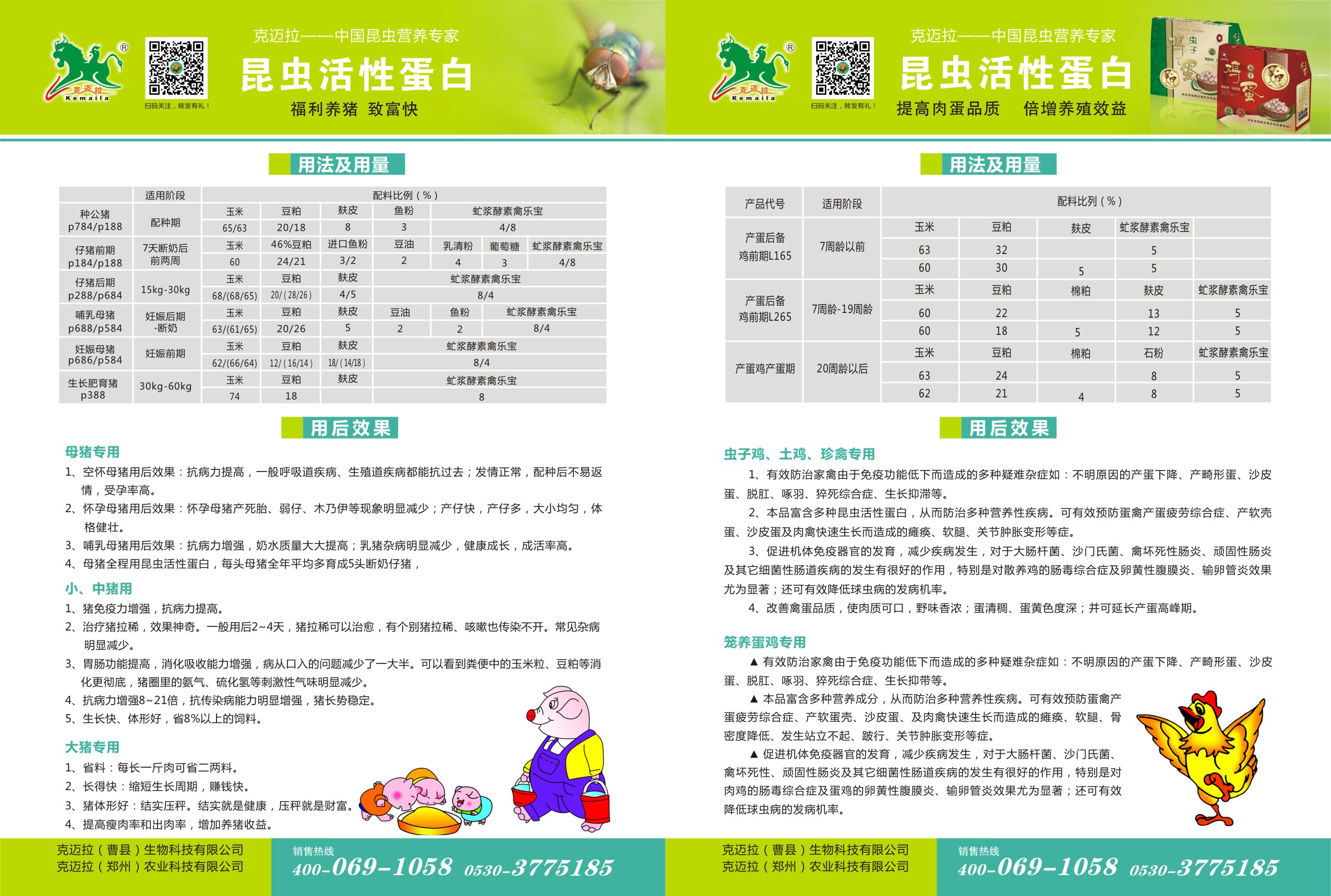 克迈拉画册3.jpg