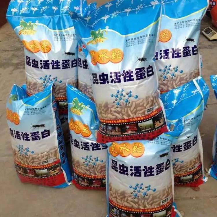 黑水虻虻浆酵素蛋白的十大功效