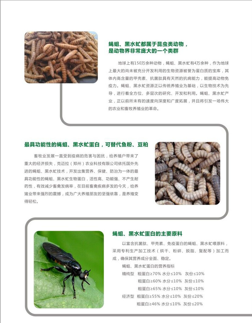 昆虫活性蛋白粉黑水虻