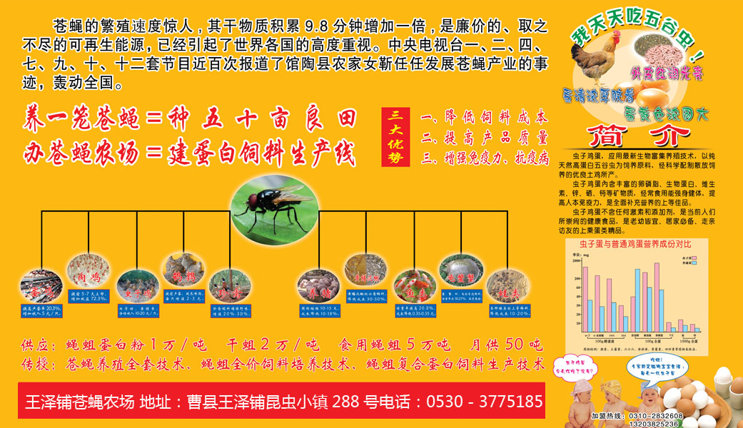 苍蝇农场,循环种养------- 苍蝇农场(家庭农场)项目书