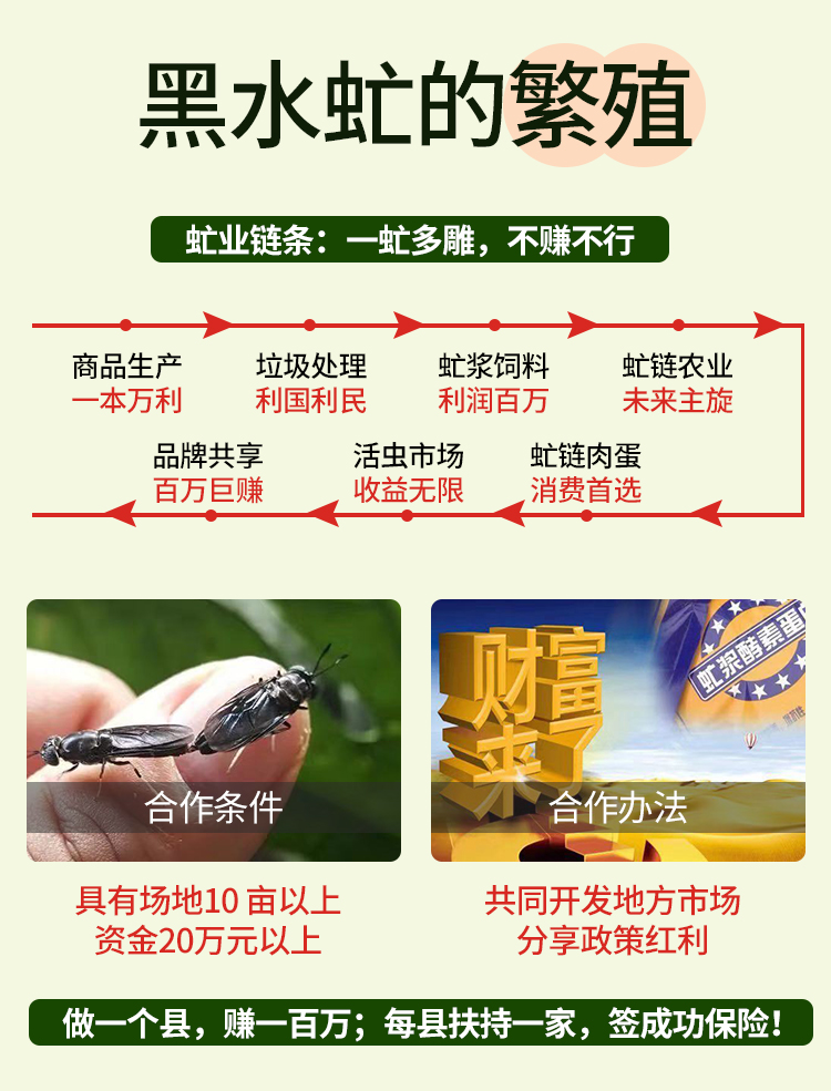 垃圾变废身虫饲料小小黑水虻打造亿万产业链超级苍蝇黑水虻养殖垃圾变