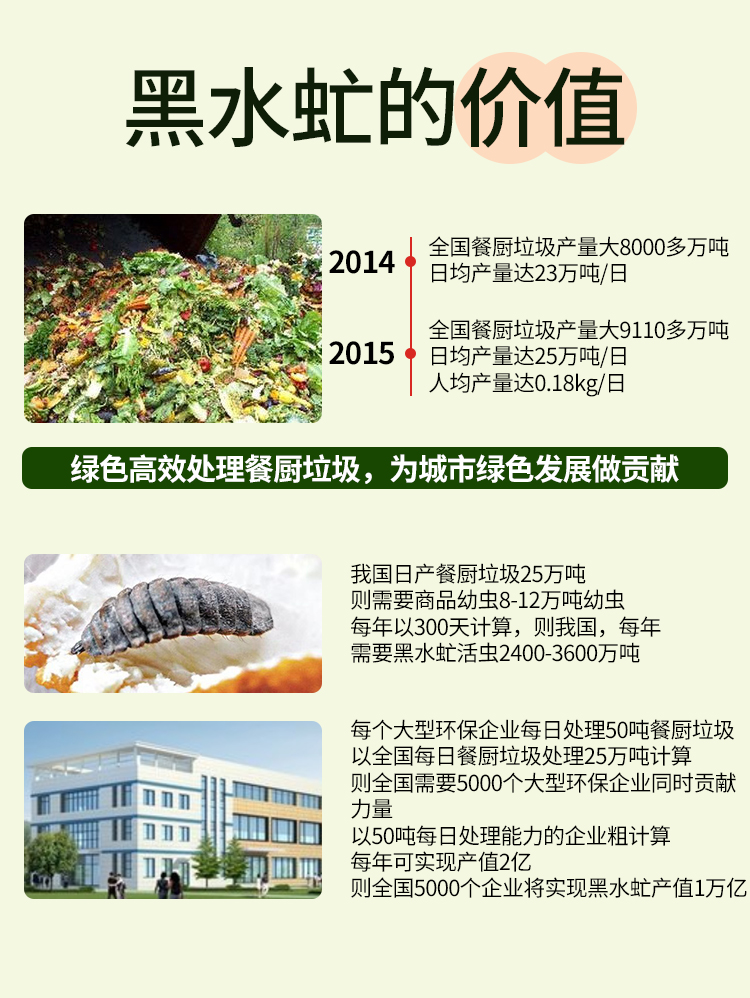 垃圾变废身虫饲料小小黑水虻打造亿万产业链超级苍蝇黑水虻养殖垃圾变